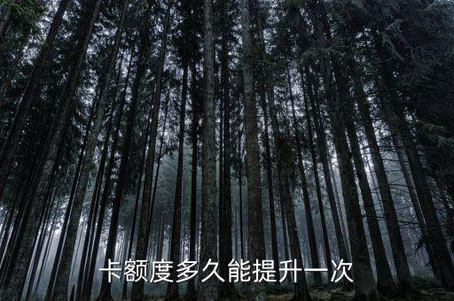 卡额度多久能提升一次