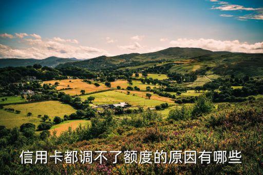 信用卡都调不了额度的原因有哪些
