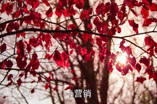 卡营销