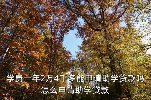 学费一年2万4千多能申请助学贷款吗怎么申请助学贷款