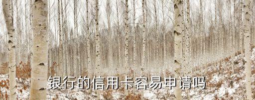 银行的信用卡容易申请吗