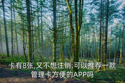 卡有8张,又不想注销,可以推荐一款管理卡方便的APP吗