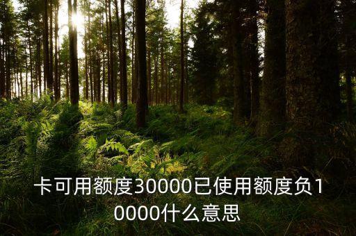 卡可用额度30000已使用额度负10000什么意思