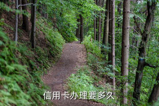 信用卡办理要多久