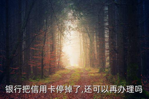 银行把信用卡停掉了,还可以再办理吗