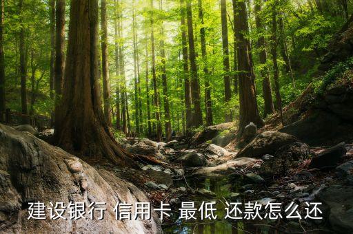 建设银行 信用卡 最低 还款怎么还