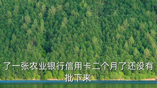 农业银行信用卡不能领取,农行信用卡多长时间到期