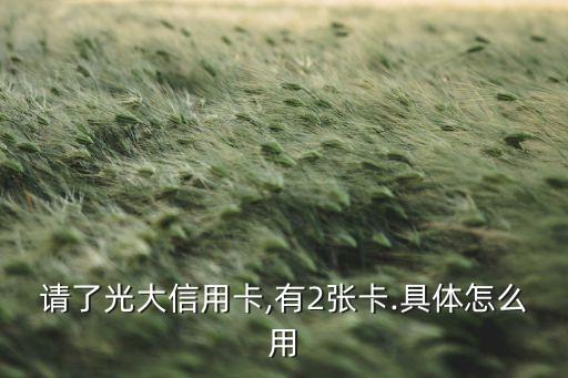 请了光大信用卡,有2张卡.具体怎么用