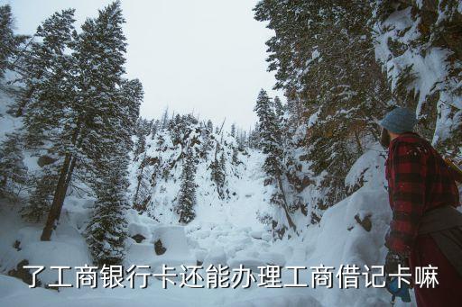 了工商银行卡还能办理工商借记卡嘛