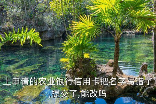 上申请的农业银行信用卡把名字写错了,提交了,能改吗