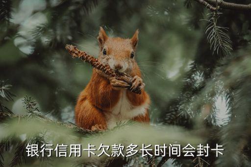 银行信用卡欠款多长时间会封卡