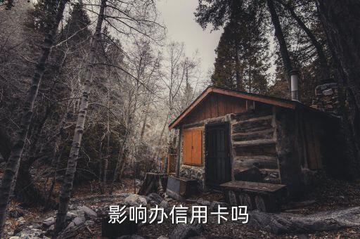 影响办信用卡吗