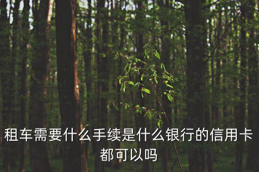 哪些银行信用卡可以租车,哪家银行有信用卡租房优惠