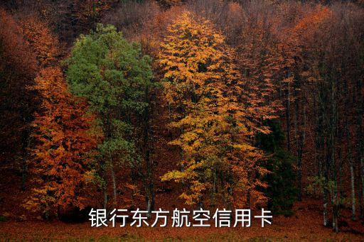 中信银行信用卡坐飞机,如何用中信信用卡购买机票?
