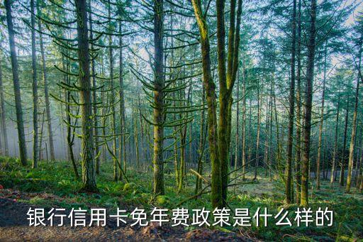 银行信用卡免年费政策是什么样的