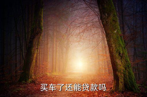 买车了还能贷款吗