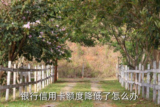银行信用卡额度降低了怎么办