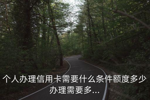个人办理信用卡需要什么条件额度多少办理需要多...