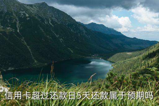 信用卡超过还款日5天还款属于预期吗