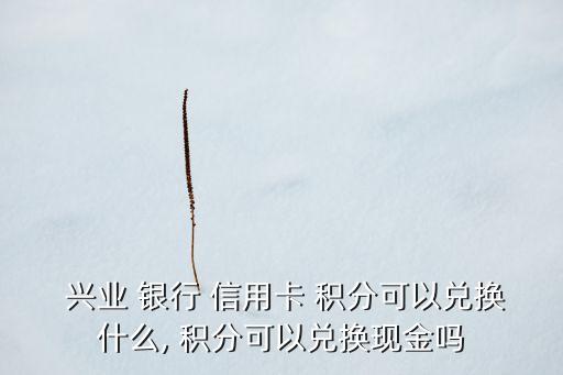  兴业 银行 信用卡 积分可以兑换什么, 积分可以兑换现金吗