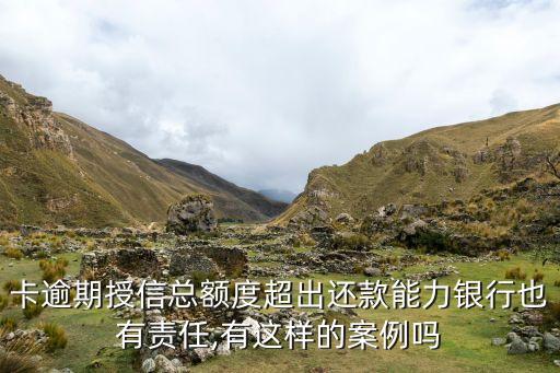 卡逾期授信总额度超出还款能力银行也有责任,有这样的案例吗