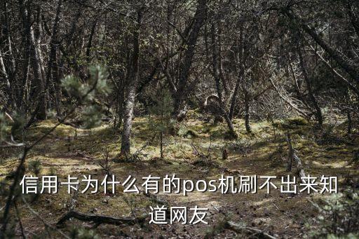 信用卡为什么有的pos机刷不出来知道网友