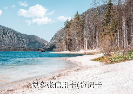很多张信用卡(贷记卡
