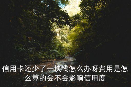 信用卡还少了一块钱怎么办呀费用是怎么算的会不会影响信用度