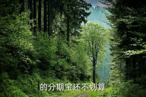 的分期宝还不划算