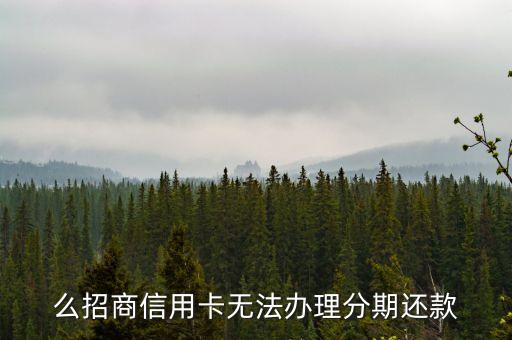 么招商信用卡无法办理分期还款