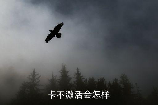 卡不激活会怎样