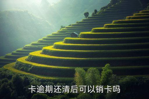 卡逾期还清后可以销卡吗