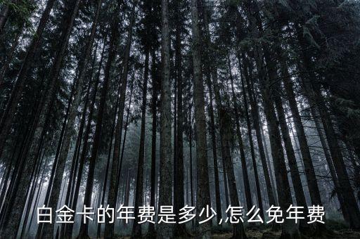 华夏银行信用卡2w积分年费,信用卡积分如何兑换年费