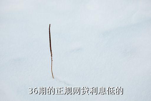 36期的正规网贷利息低的