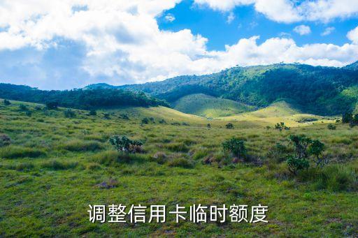 怎么办信用卡临时额度,信用卡临时额度逾期了怎么办?