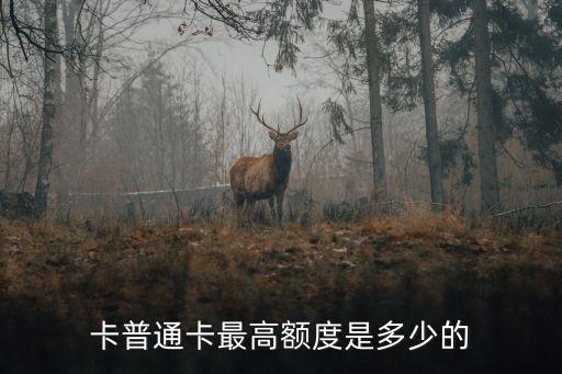 卡普通卡最高额度是多少的