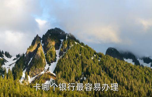 什么银行信用卡办理的,有哪些银行信用卡