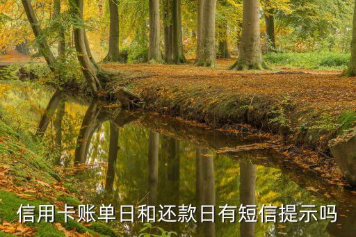 信用卡账单日和还款日有短信提示吗