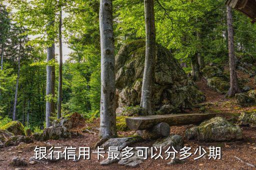 银行信用卡最多可以分多少期