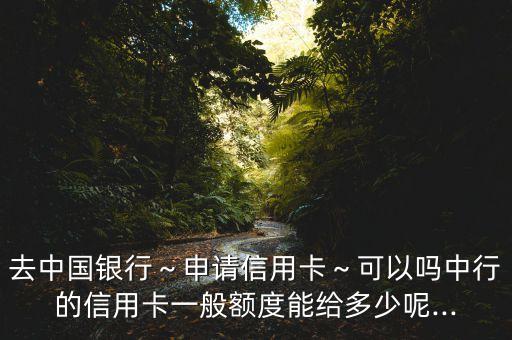 去中国银行～申请信用卡～可以吗中行的信用卡一般额度能给多少呢...
