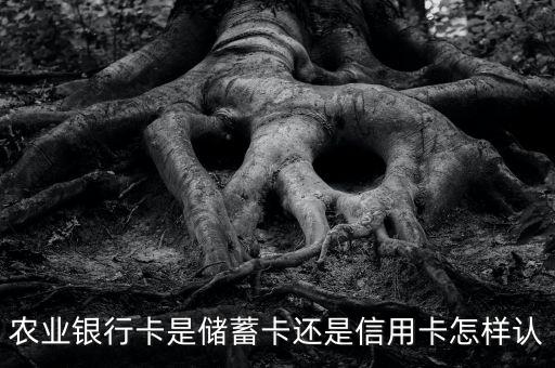 农业银行卡是储蓄卡还是信用卡怎样认