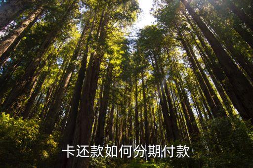 使用信用卡付款后怎么分期,使用信用卡如何分期付款