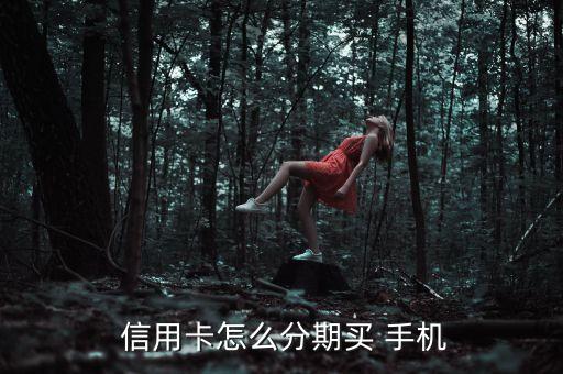  信用卡怎么分期买 手机