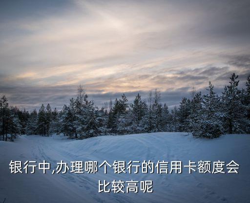 银行中,办理哪个银行的信用卡额度会比较高呢