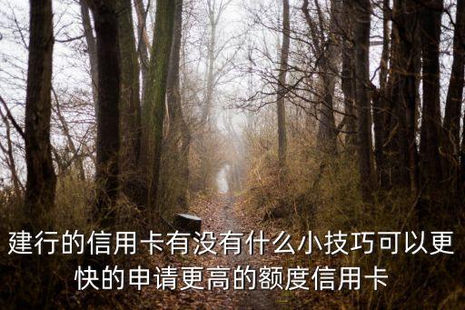 建行的信用卡有没有什么小技巧可以更快的申请更高的额度信用卡
