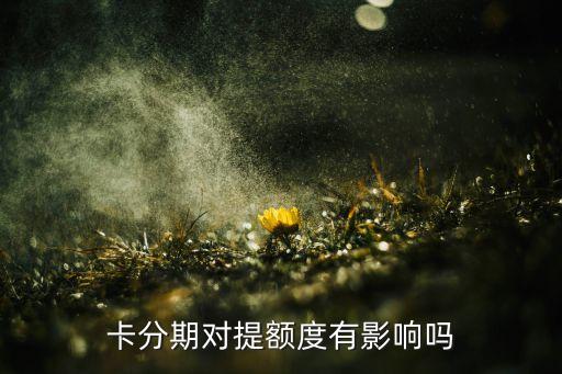 信用卡分期可以随时提额吗,我还能提取信用卡分期付款吗