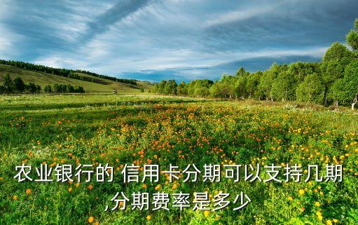 农业银行的 信用卡分期可以支持几期,分期费率是多少