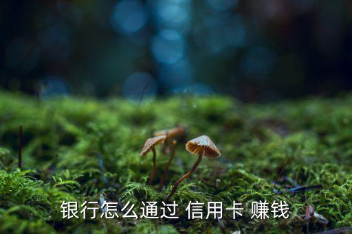 银行怎么通过 信用卡 赚钱