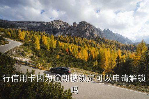 行信用卡因为逾期被锁定可以申请解锁吗