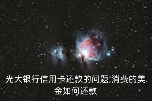 光大银行信用卡还款的问题,消费的美金如何还款